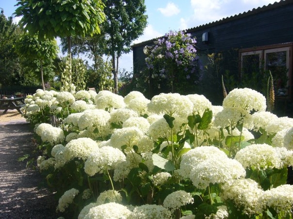 De Groene Route deelnemer