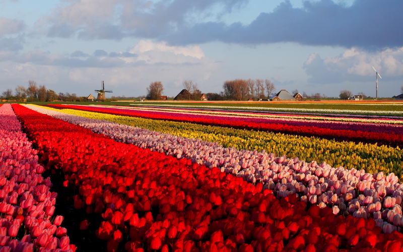 De Groene Route deelnemer