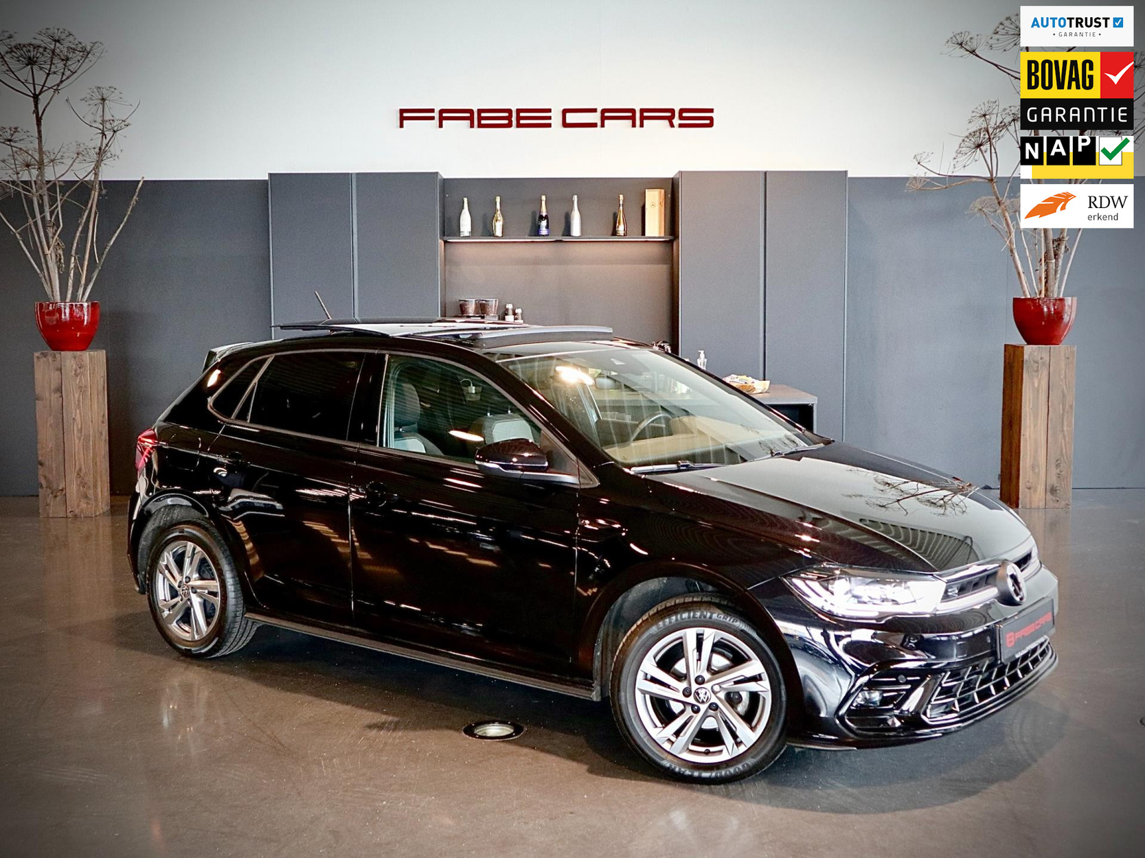 Fabe Cars