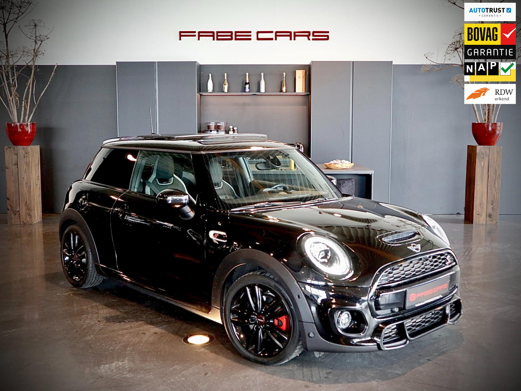 Fabe Cars