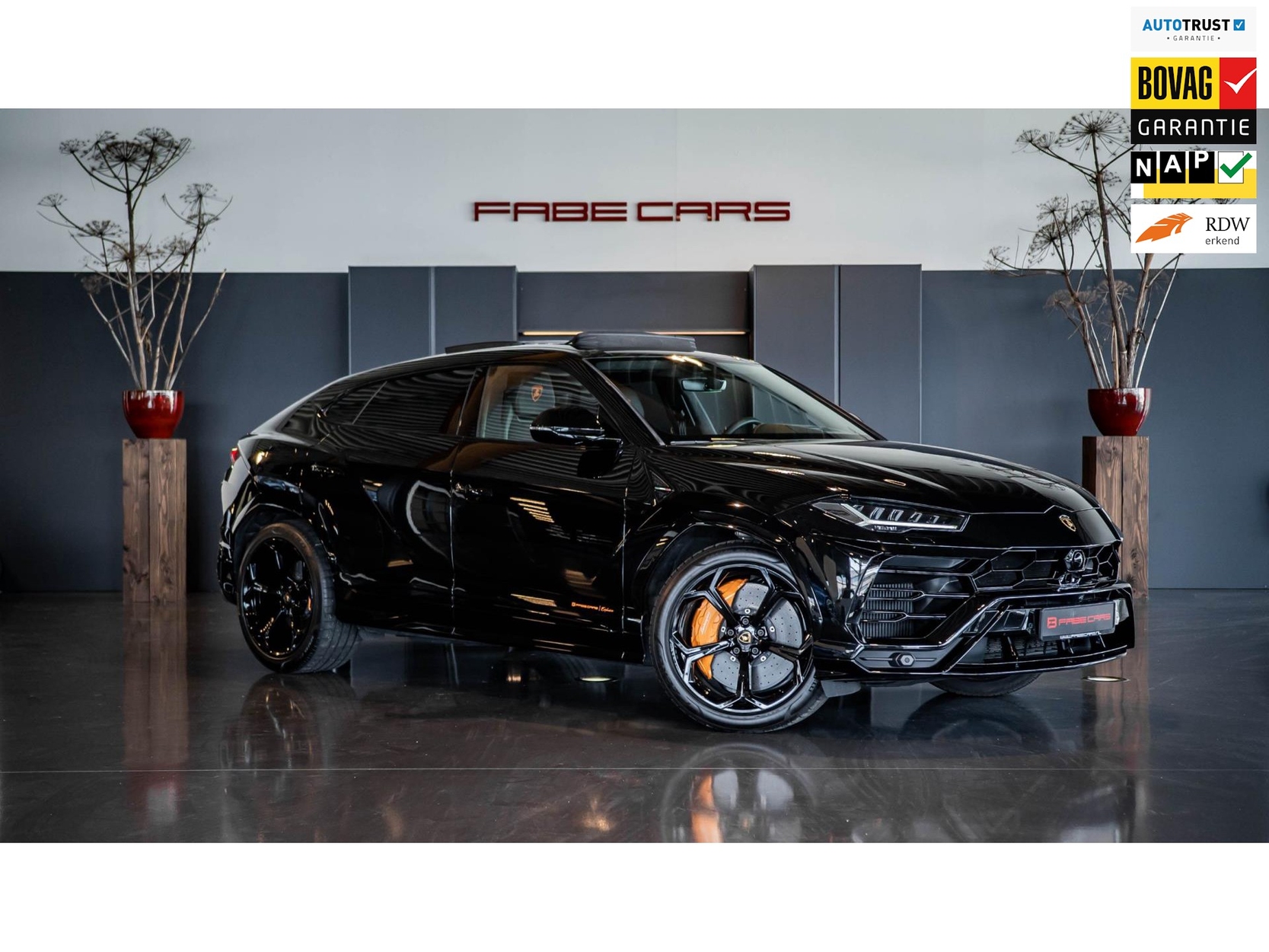 Fabe Cars