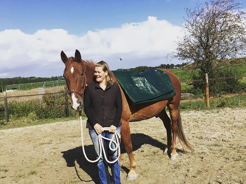 Horizon Paardencoaching