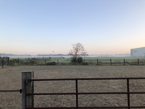 Horizon Paardencoaching