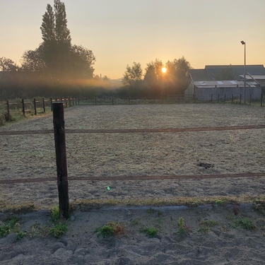 Horizon Paardencoaching