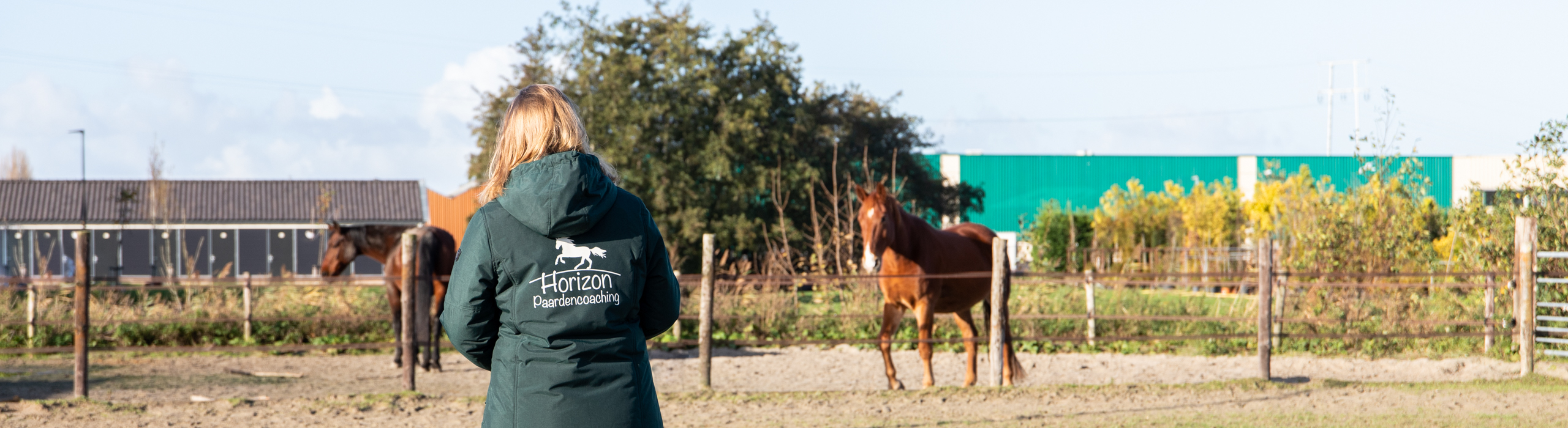 Horizon Paardencoaching