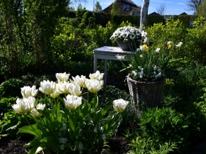 verkleind-april-witte-tuin.JPG