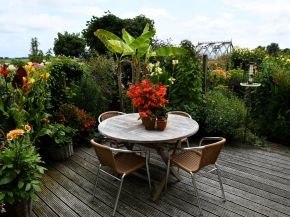 verkleind-juli-terras.JPG
