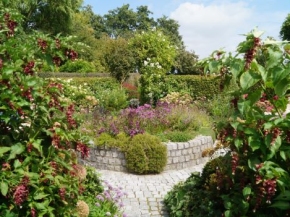 verkleind-aug-waterbol-hortensiatuin.jpg