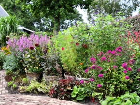 verkleind-aug-purperborder.JPG